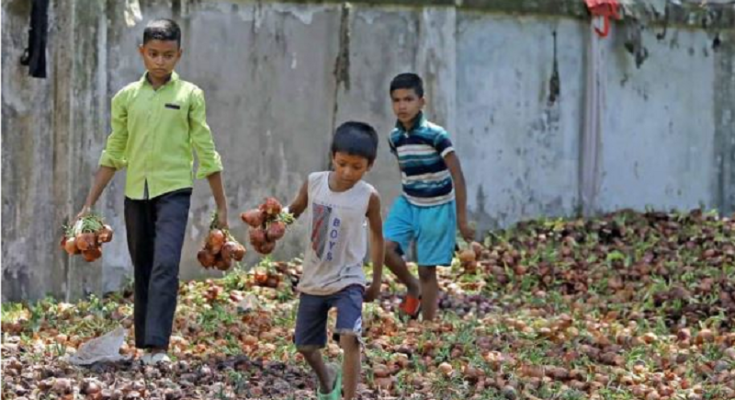 আমদানি করা টিসিবির ২০০ টন পেঁয়াজ পচা